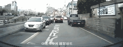 목줄없는 개에게 쫓기다 교통사고남 | 인스티즈