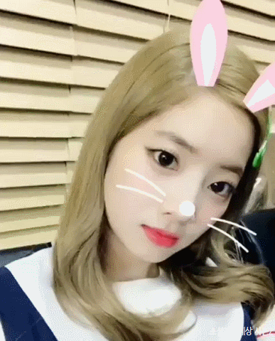 트와이스 다현(데이터주의) | 인스티즈
