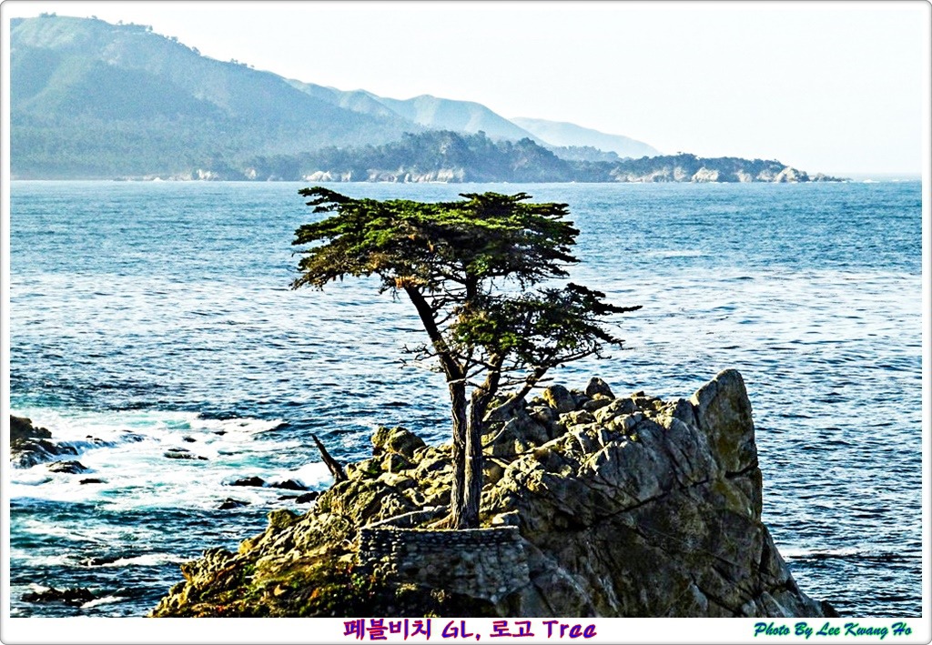 페블비치 이미지