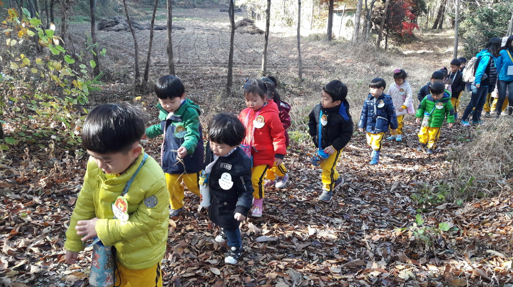 시립푸른어린이집 이미지