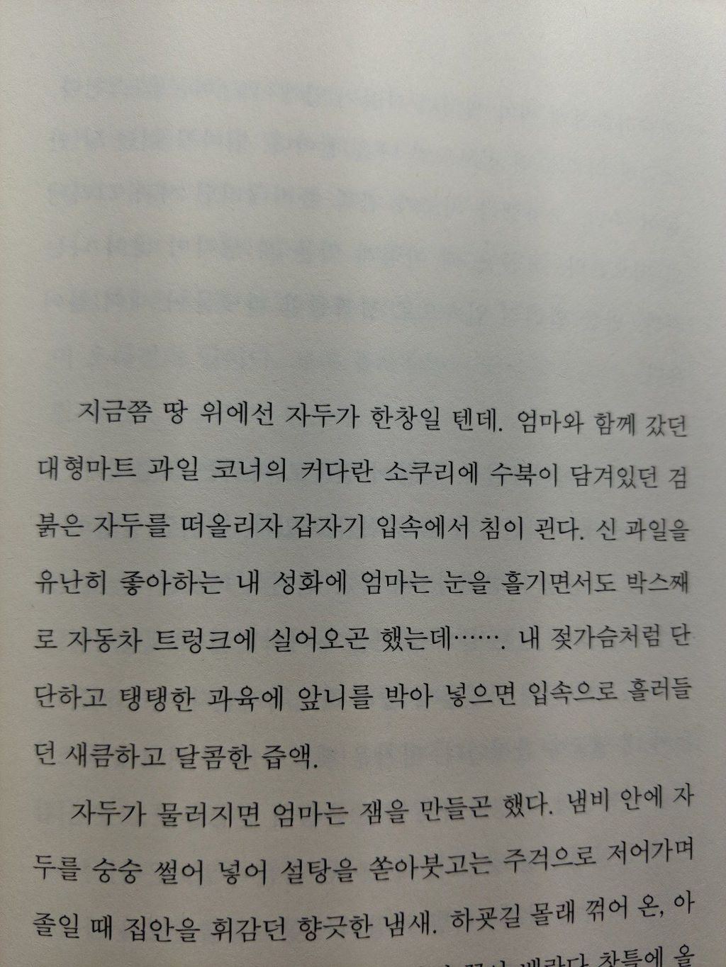 현재 욕먹고 있는 세월호 관련 소설 | 인스티즈