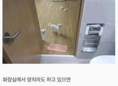 아무 이유없이 항상 나를 좋아해주는 유일한 생명체.jpg | 인스티즈
