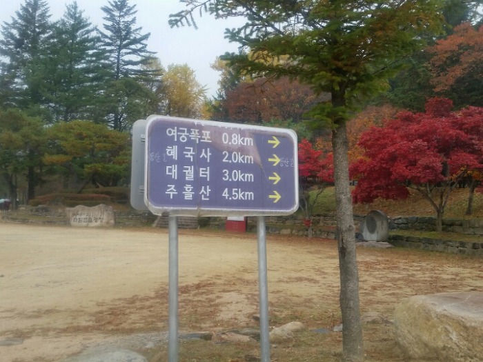 진산주 이미지
