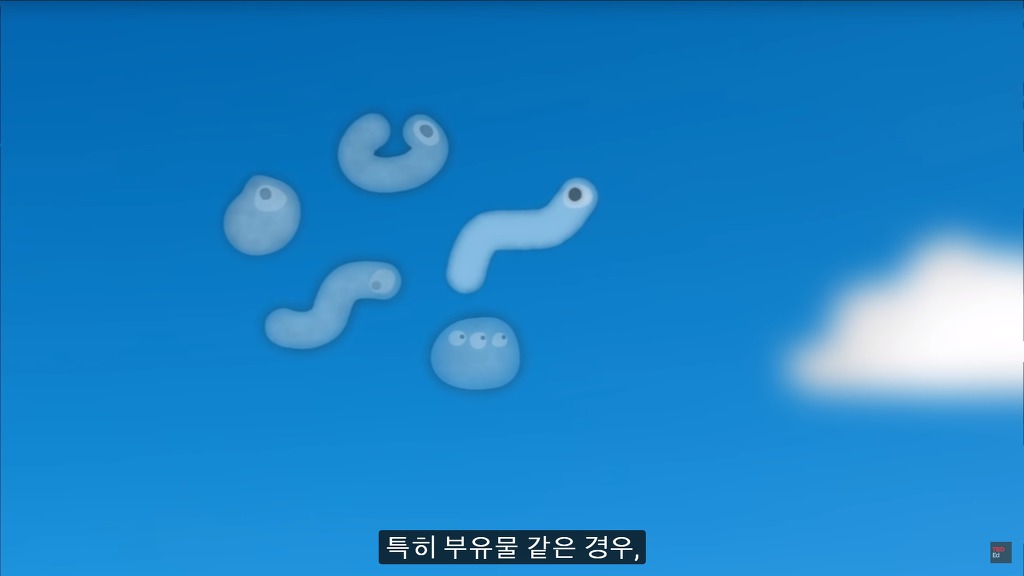 여러분의 눈에 둥둥 떠다니는 그것들은 무엇일까요? | 인스티즈