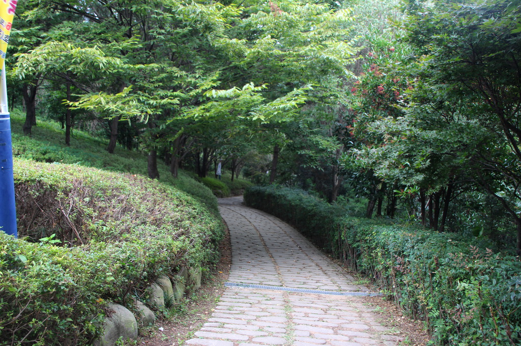 참사랑상사 이미지