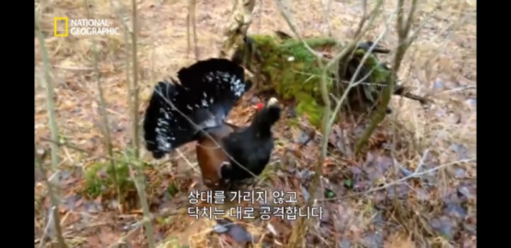 분노조절을 잘 해야하는 이유 | 인스티즈