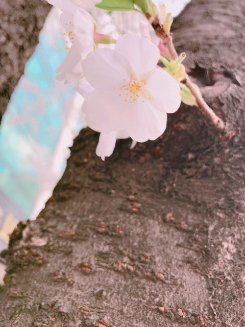 (주)유클로버 이미지