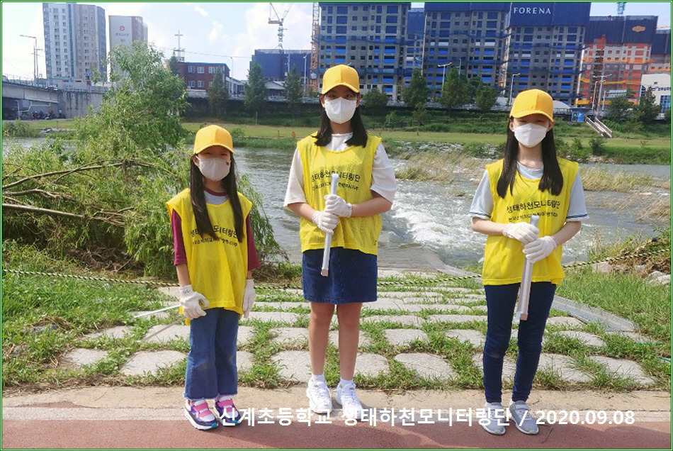 대전신계초등학교 이미지
