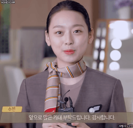 아시아나의 모델이 된 이수민 | 인스티즈