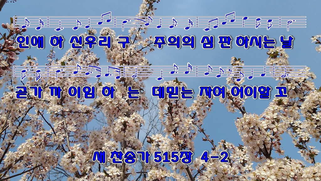 하늘보라 이미지