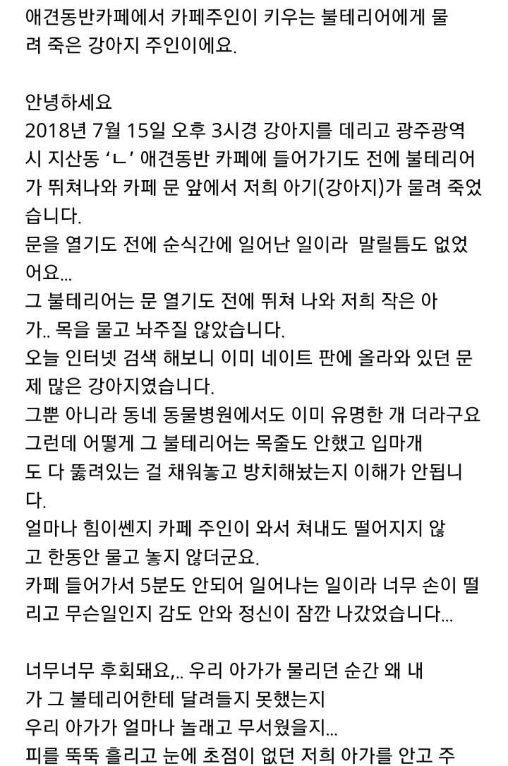 애견동반카페에서 카페주인이 키우는 불테리어에게 물려 죽은 강아지 주인이에요.(혐오주의) | 인스티즈