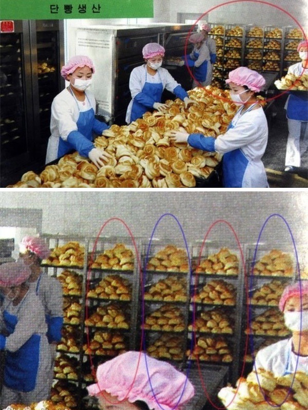 북한의 합성 수준 | 인스티즈