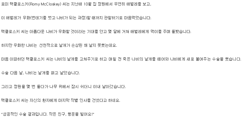 나비 수술 | 인스티즈