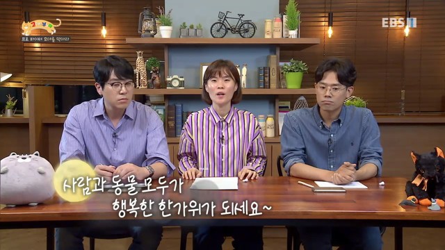 [고양이를부탁해] 고양이의 명절증후군 | 인스티즈