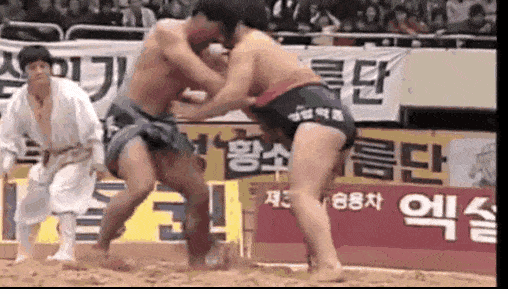 씨름계의 길이 남을 강호동vs이만기 사건 | 인스티즈