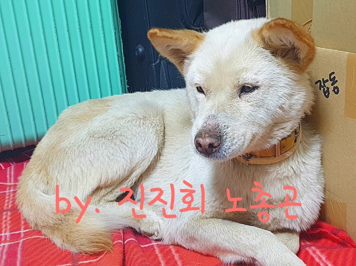 같이 이미지