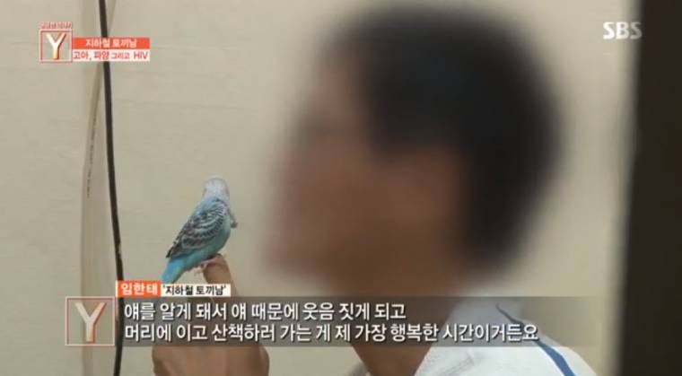 지하철 토끼남의 사연 | 인스티즈