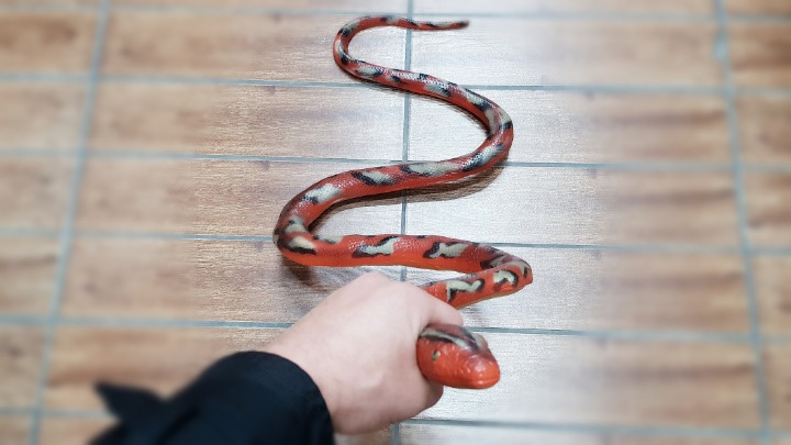할인마트 이미지