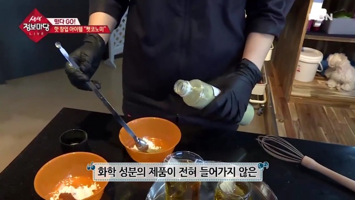 강아지 아로마테라피.jpg | 인스티즈