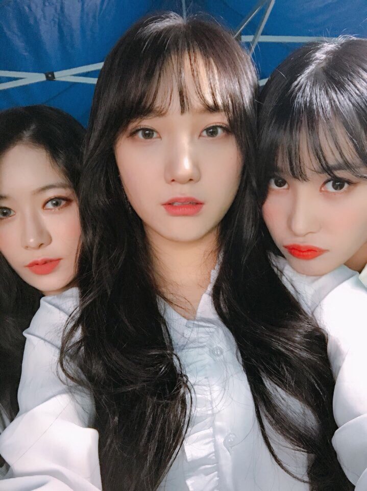 로로언니 이미지
