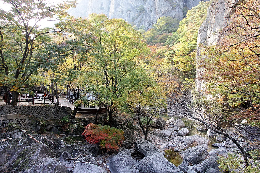 (주)올품 이미지