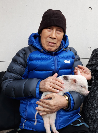 돼지이야기 이미지