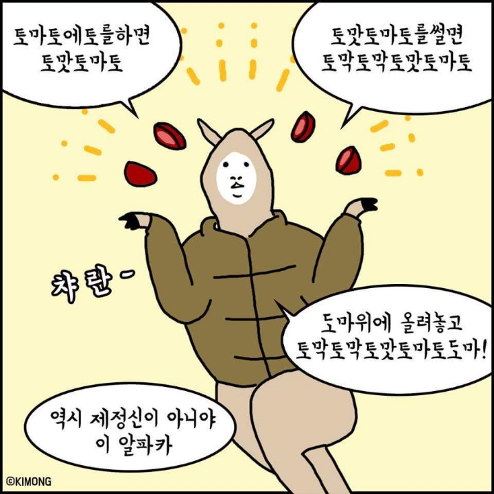 제정신이 아닌 알파카 | 인스티즈
