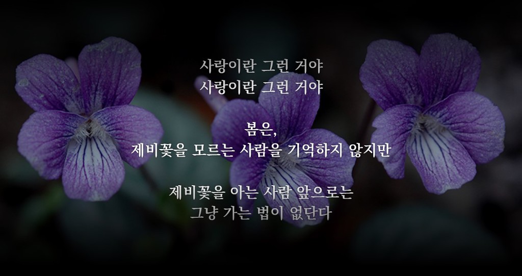 이아 이미지
