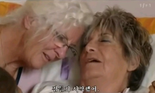 스위스의 조력자살 | 인스티즈