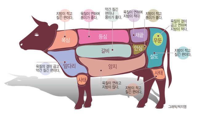 한우가 비싼 이유 | 인스티즈
