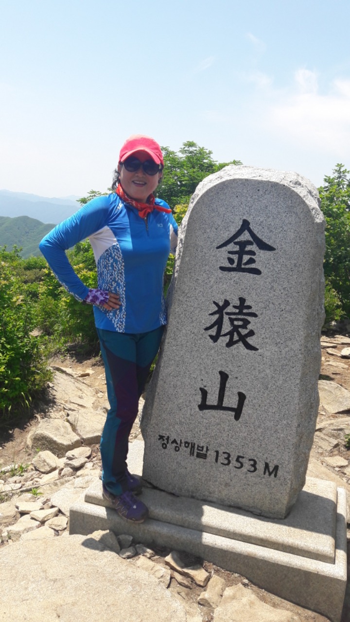 지그린 이미지