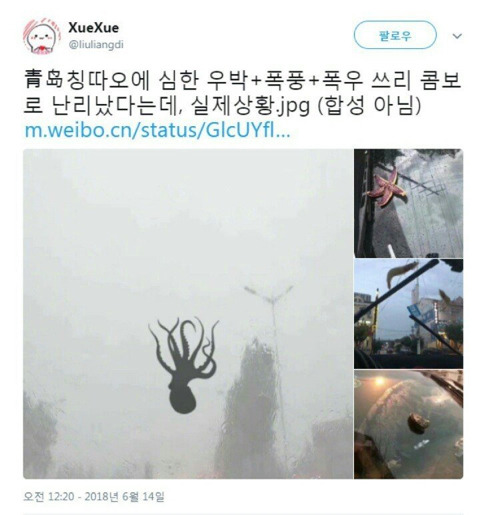 중국 맥주시티 실제상황.jpg | 인스티즈