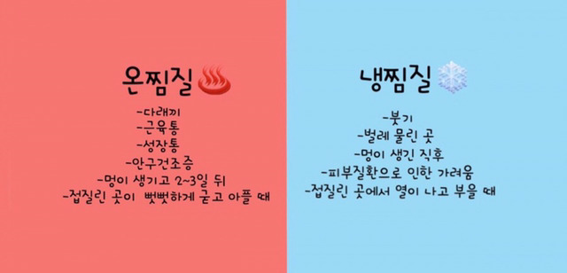 여러가지 정보/팁이오 | 인스티즈