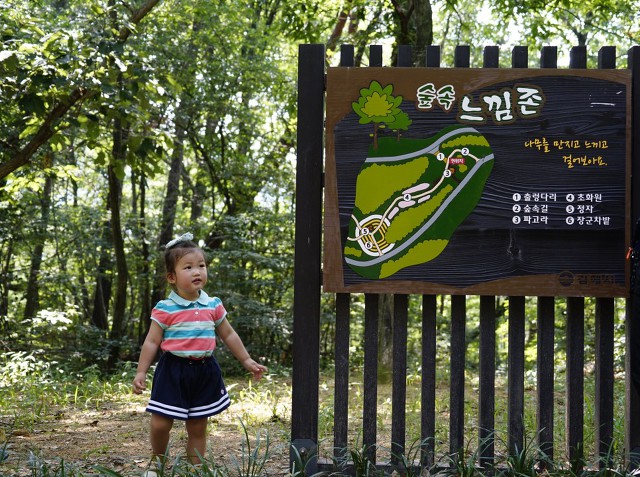 삶은감자(감자숲) 이미지