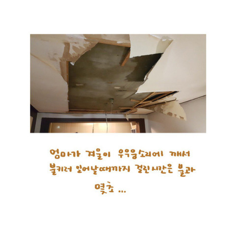 은혜갚은 고양이 | 인스티즈