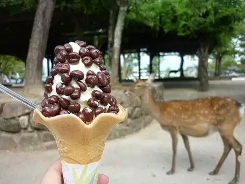 일본의 기묘한 아이스크림...jpg | 인스티즈