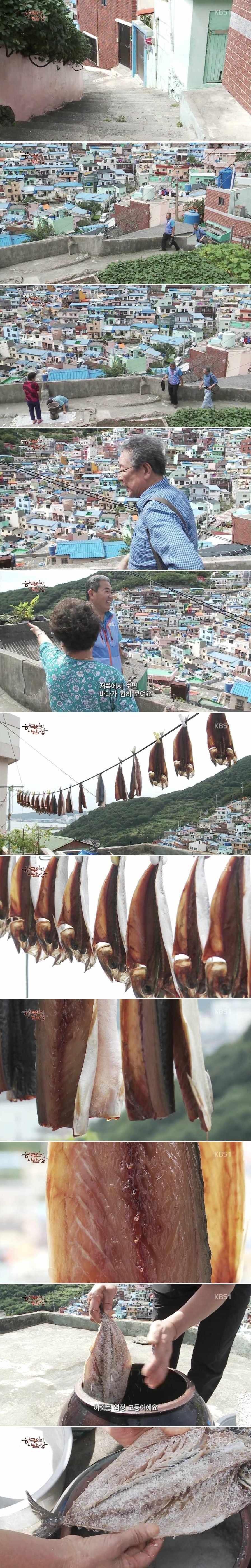 한국인의 밥상 - 고등어 | 인스티즈