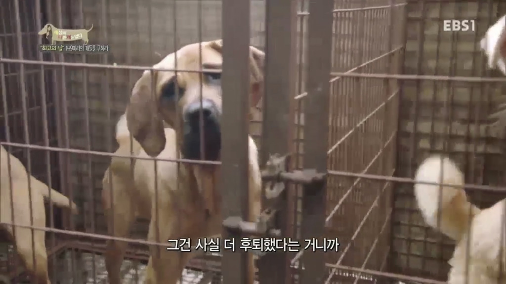 어떻게 사람을 그렇게 좋아할 수 있죠? | 인스티즈