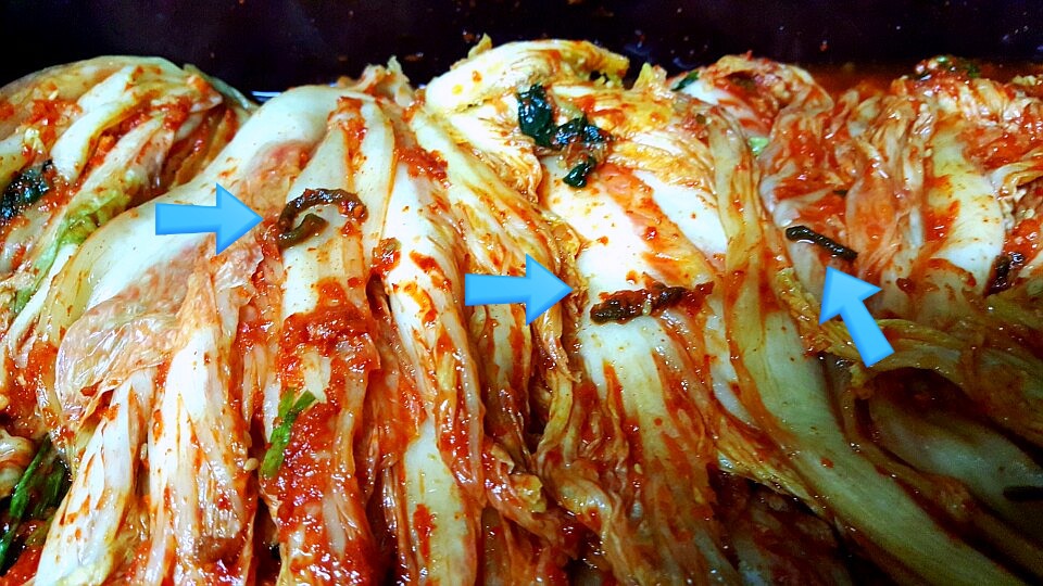 전라도김치 이미지