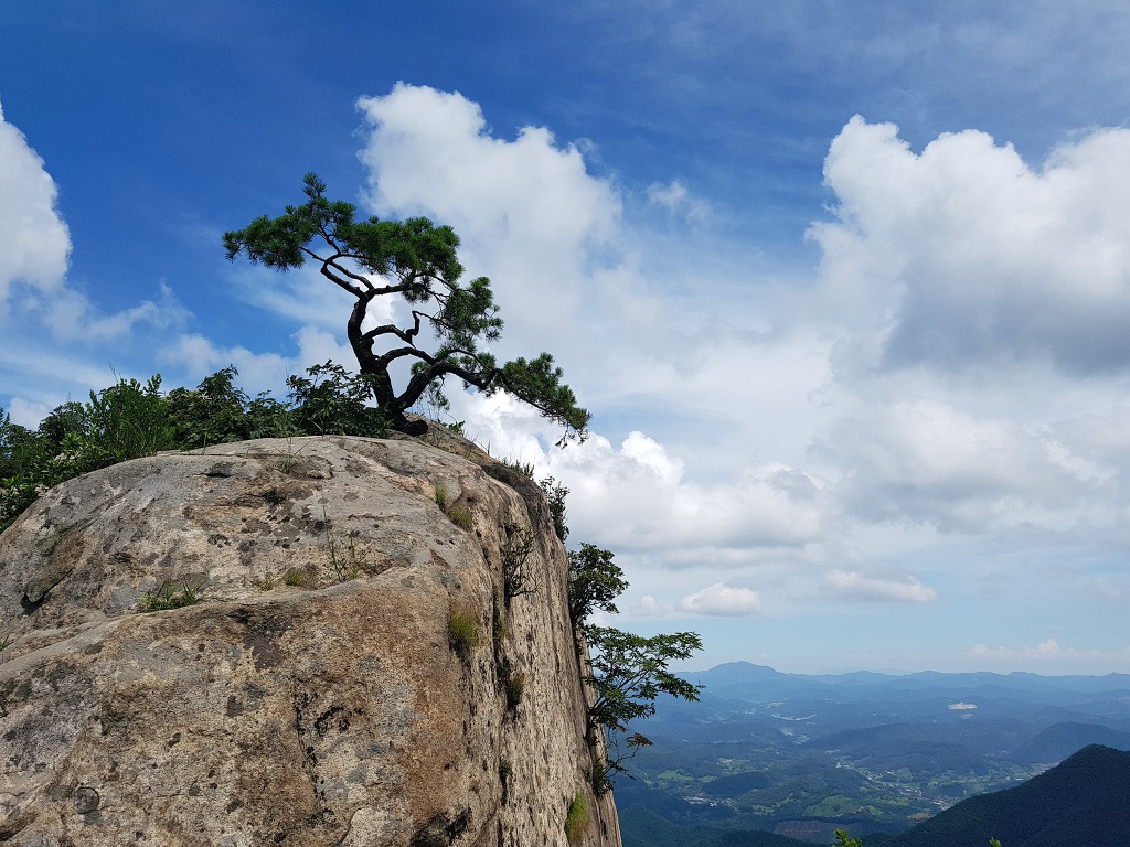 삼공사공 이미지