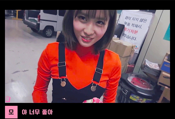 모모한테 안기고 싶다 | 인스티즈