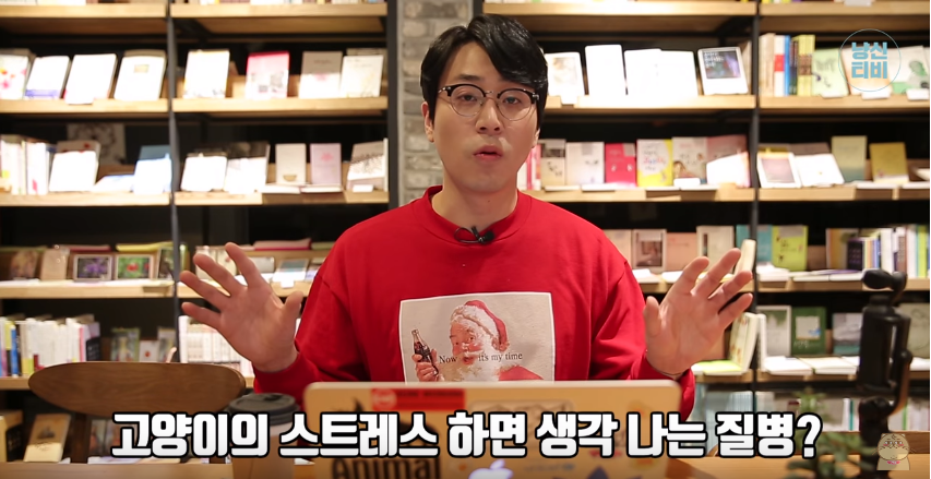 고양이 다묘가정이 행복할까? 혼자가 행복할까? (feat. 냐옹신) | 인스티즈