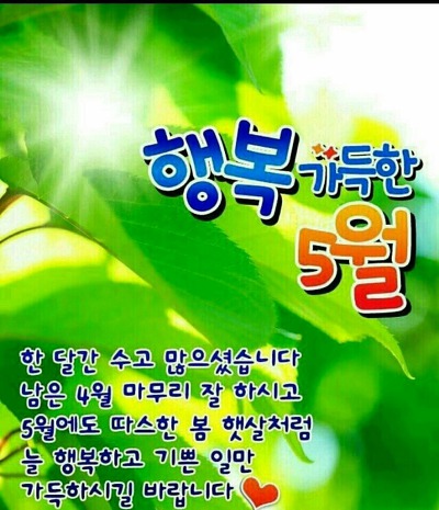 꽃길만걷자 이미지