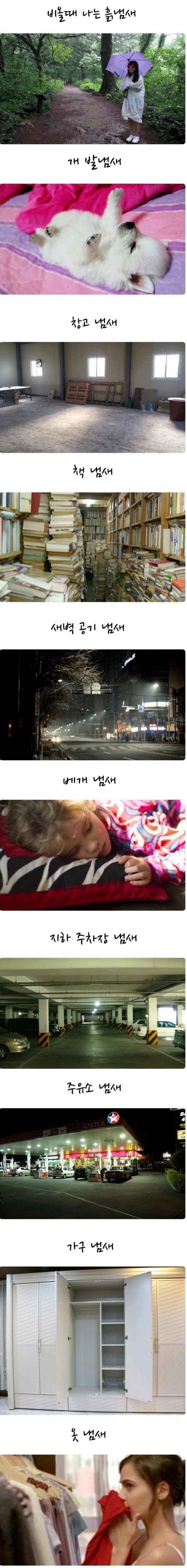 은근히 많은 사람들이 좋아하는 냄새 | 인스티즈