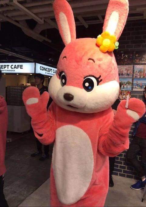 외유내강 | 인스티즈