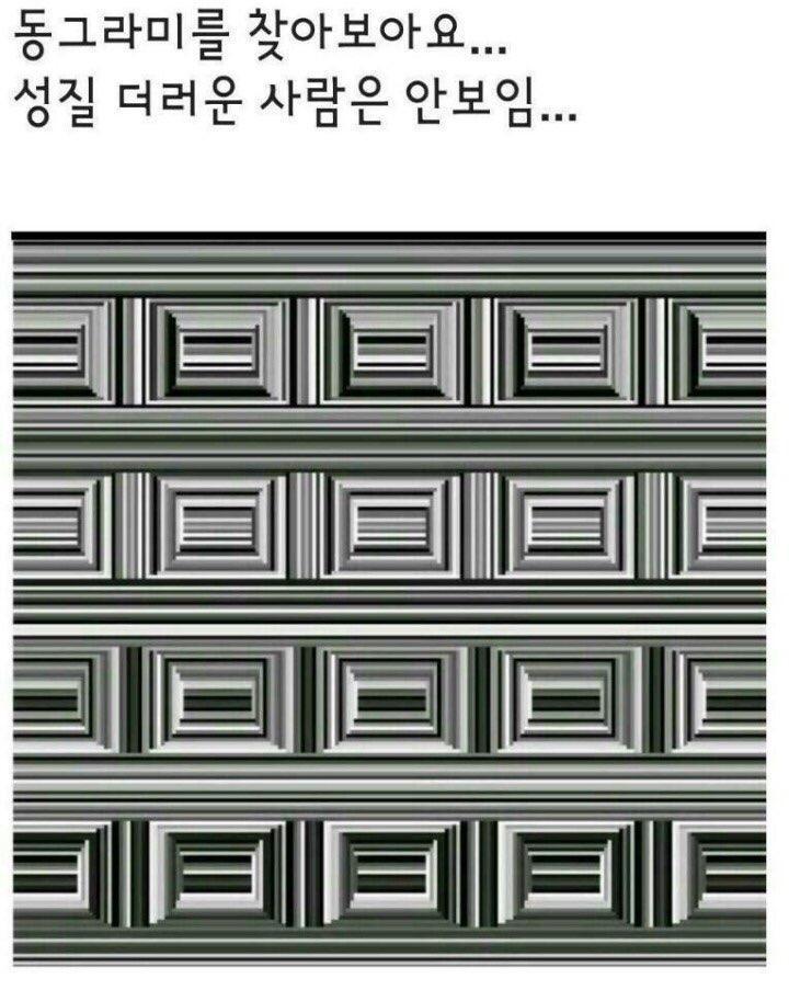 동그라미 이미지