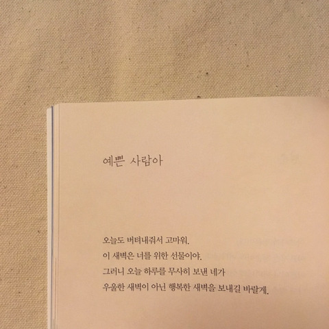 라윤 이미지