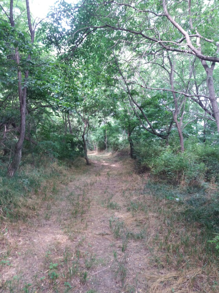 군산 청하대교 이미지