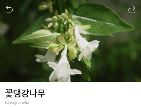 식물 이름이 심상치않다 | 인스티즈