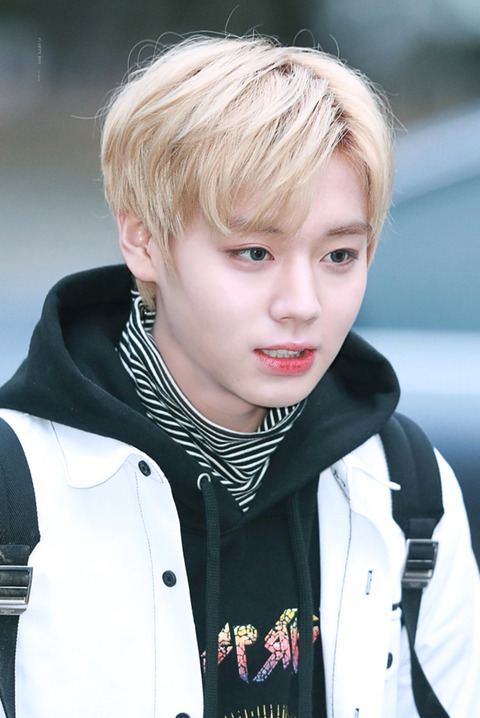 뚱시 이미지